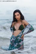 Foto Immagine Vanessa Hilton Trans Modena 3245846577 - 113