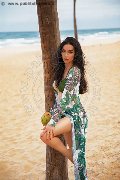 Foto Immagine Vanessa Hilton Trans Modena 3245846577 - 118