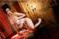 Foto Immagine Vanessa Hilton Trans Modena 3245846577 - 74
