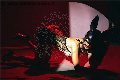 Foto Immagine Vanessa Hilton Trans Modena 3245846577 - 132
