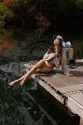 Foto Immagine Vanessa Hilton Trans Vicenza 3245846577 - 59