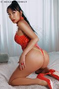 Foto Immagine Vanessa Midori Trans Faenza 3475451376 - 7
