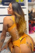 Foto Immagine Adri Trans Legnano 3339479209 - 19