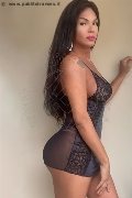Foto Immagine Ana Paola Tx Trans Prato 3509271150 - 38