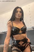 Foto Immagine Brunna Campanaro Trans Bologna 3509335566 - 64