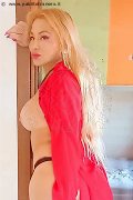 Foto Immagine Camelia Trans Nettuno 3383977686 - 71