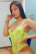 Foto Immagine Celeste New Trans Civitanova Marche 3511837392 - 25