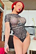 Foto Immagine Dior Trans Genova 3472825420 - 96