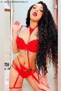Foto Immagine Dior Trans Treviso 3472825420 - 245