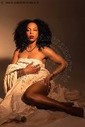 Foto Immagine Elara Trans Bologna 3519289028 - 3