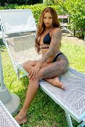 Foto Immagine Hillary Brasiliana Trans Alba Adriatica 3384136322 - 43