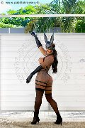 Foto Immagine Hillary Brasiliana Trans Alba Adriatica 3384136322 - 75