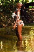 Foto Immagine Hillary Brasiliana Trans Alba Adriatica 3384136322 - 96