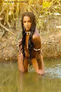 Foto Immagine Hillary Brasiliana Trans Bologna 3384136322 - 106