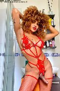 Foto Immagine Hot Stella Trans Milano 3295563971 - 5