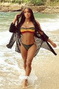 Foto Immagine Mirella Brasiliana Trans Novara 3271721805 - 1