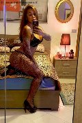 Rimini Transex Alessandra Toledo Pornostar 339 67 43 933 foto selfie 232