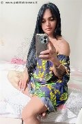Barcellona Transex Daniela 392 52 44 407 foto selfie 3