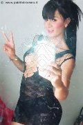 Colle Di Val D'elsa Transex Ivanna 333 52 19 542 foto selfie 12