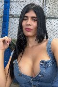 Colle Di Val D'elsa Transex Ivanna 333 52 19 542 foto selfie 3
