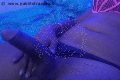 Casoria Transex Jennifer Lopez 329 28 14 384 foto selfie 13