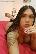 Cosenza Transex Kelly Miller 350 88 85 328 foto selfie 23