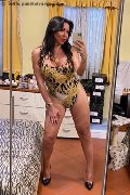 Dalmine Transex Luisa 334 32 13 842 foto selfie 138