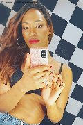 Bologna Transex Naomy Xl 329 01 67 932 foto selfie 4