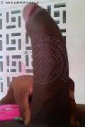 Bologna Transex Naomy Xl 329 01 67 932 foto selfie 110