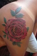 Torre Del Lago Puccini Transex Pamela Sexy 389 11 65 704 foto selfie 15