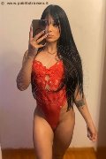 Milano Transex Rafaela Bastos 329 55 79 942 foto selfie 37