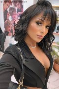 Rimini Transex Rafaela Bastos 329 55 79 942 foto selfie 25