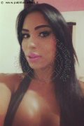 Roma Transex Rayla Rios 329 38 77 403 foto selfie 39