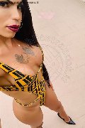 Roma Transex Rayla Rios 329 38 77 403 foto selfie 15