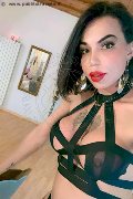 Roma Transex Rayla Rios 329 38 77 403 foto selfie 2