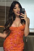 Roma Transex Safina 334 25 85 465 foto selfie 6