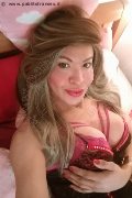 Prato Transex Tain� Oliveira 328 53 82 487 foto selfie 133