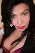 Prato Transex Tain� Oliveira 328 53 82 487 foto selfie 149