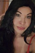 Prato Transex Tain� Oliveira 328 53 82 487 foto selfie 97