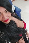 Prato Transex Tain� Oliveira 328 53 82 487 foto selfie 76