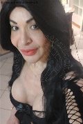 Prato Transex Tain� Oliveira 328 53 82 487 foto selfie 46
