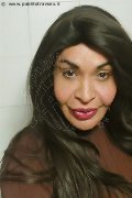 Prato Transex Tain� Oliveira 328 53 82 487 foto selfie 36