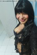 Prato Transex Tain� Oliveira 328 53 82 487 foto selfie 12
