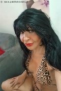 Prato Transex Tain� Oliveira 328 53 82 487 foto selfie 3