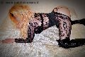 Foto Immagine Sexy Thays Trans Francavilla Fontana 3913000226 - 12