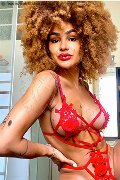 Foto Immagine Stella Trans Milano 3295563971 - 25