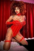 Foto Immagine Stella Trans Milano 3295563971 - 16