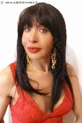 Foto Immagine Tain� Oliveira Trans Prato 3285382487 - 52