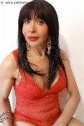Foto Immagine Tain� Oliveira Trans Prato 3285382487 - 50