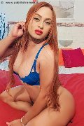 Foto Immagine Zara Marcano Trans Ferrara 3278360510 - 122